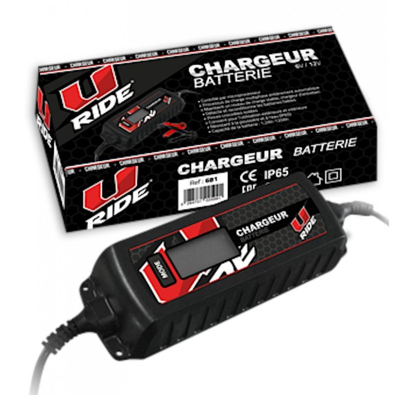 Chargeur de Batterie Moto - quad - tracteur - tondeuse - Maintien de Charge  6V/12V - Cordon et pince fourni - Automatique