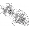 1 - CARTER MOTEUR MOTO MASAI RAZER 50